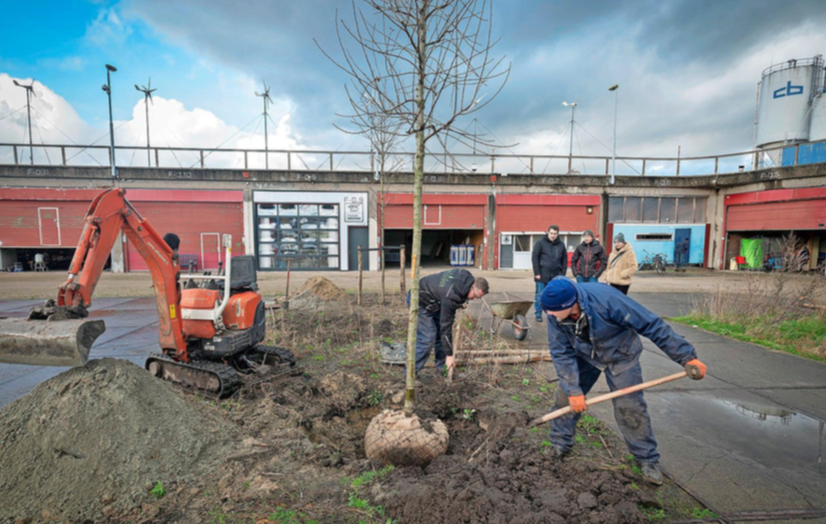 start-van-het-maak-bos